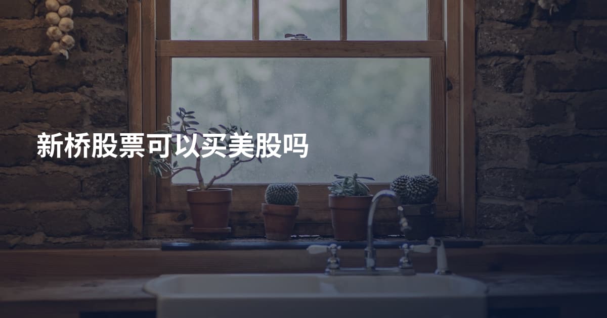 新桥股票可以买美股吗