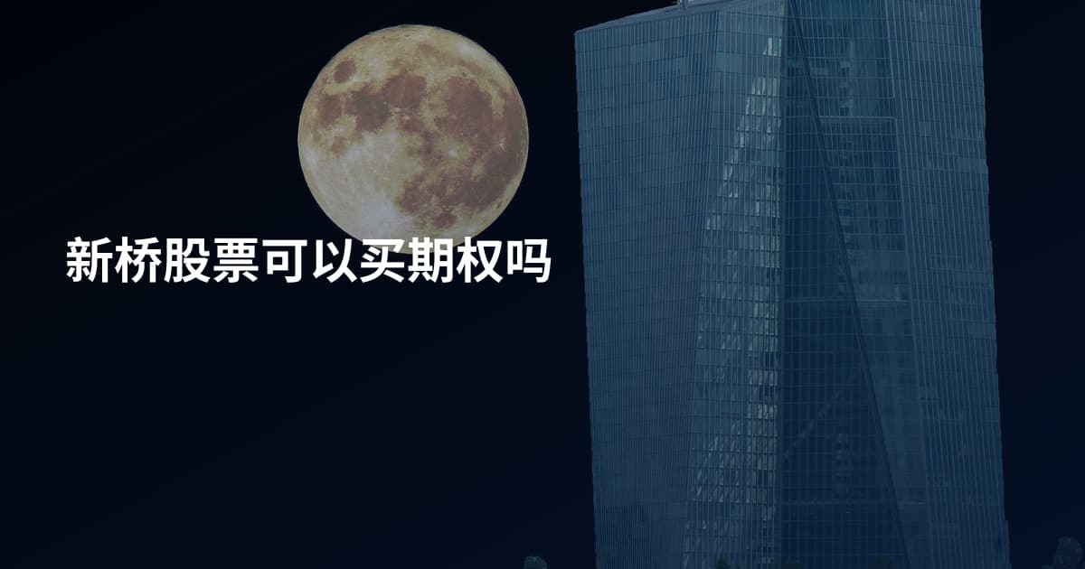 新桥股票可以买期权吗