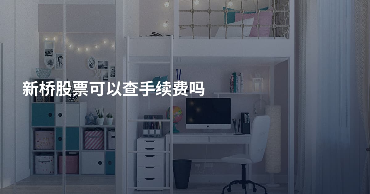 新桥股票可以查手续费吗
