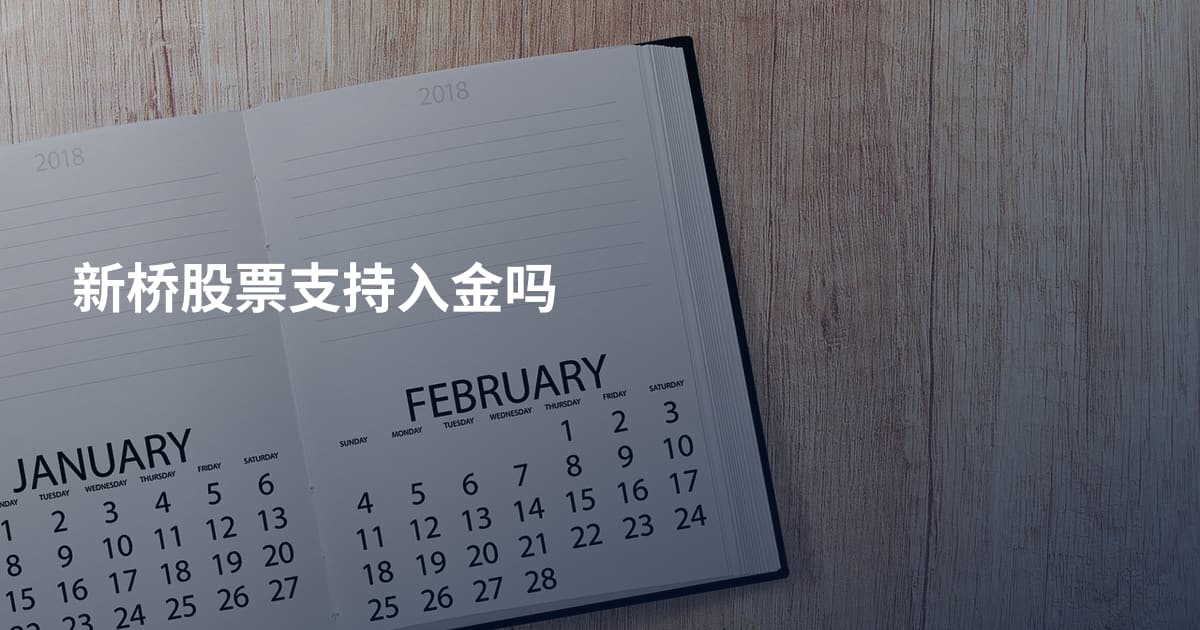 新桥股票支持入金吗
