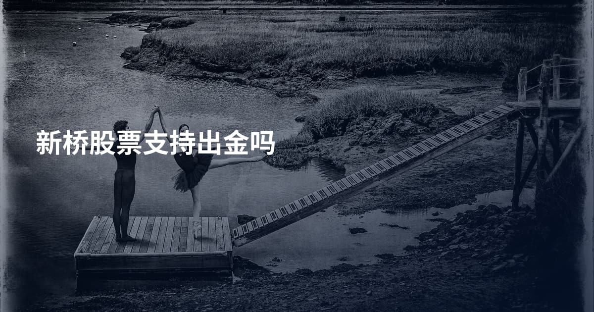 新桥股票支持出金吗