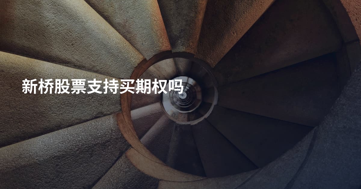 新桥股票支持买期权吗