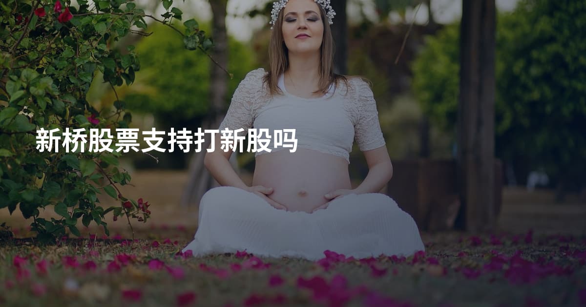 新桥股票支持打新股吗