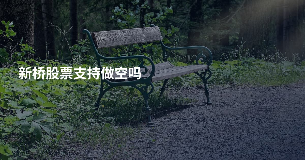 新桥股票支持做空吗