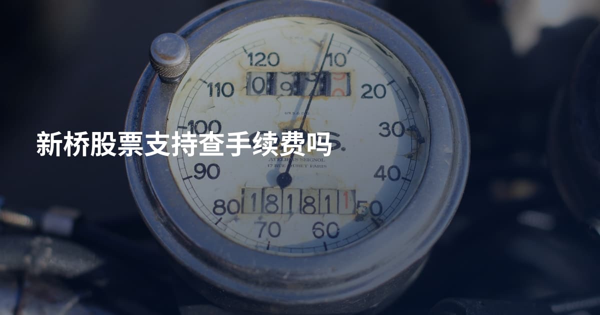 新桥股票支持查手续费吗