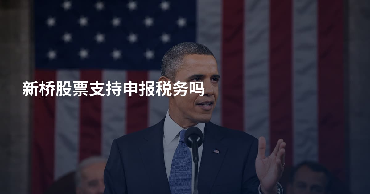 新桥股票支持申报税务吗