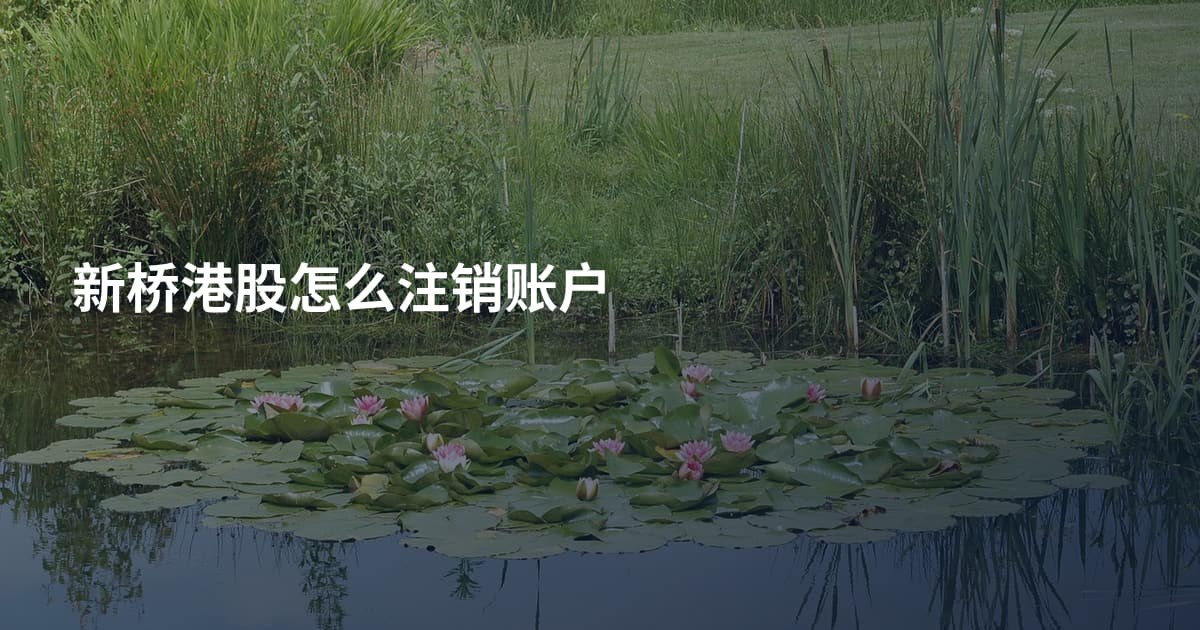 新桥港股怎么注销账户