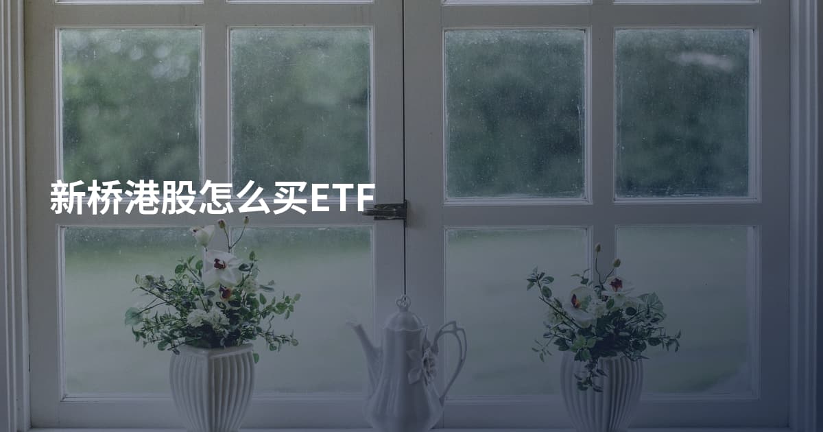 新桥港股怎么买ETF