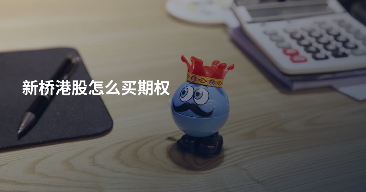 新桥港股怎么买期权