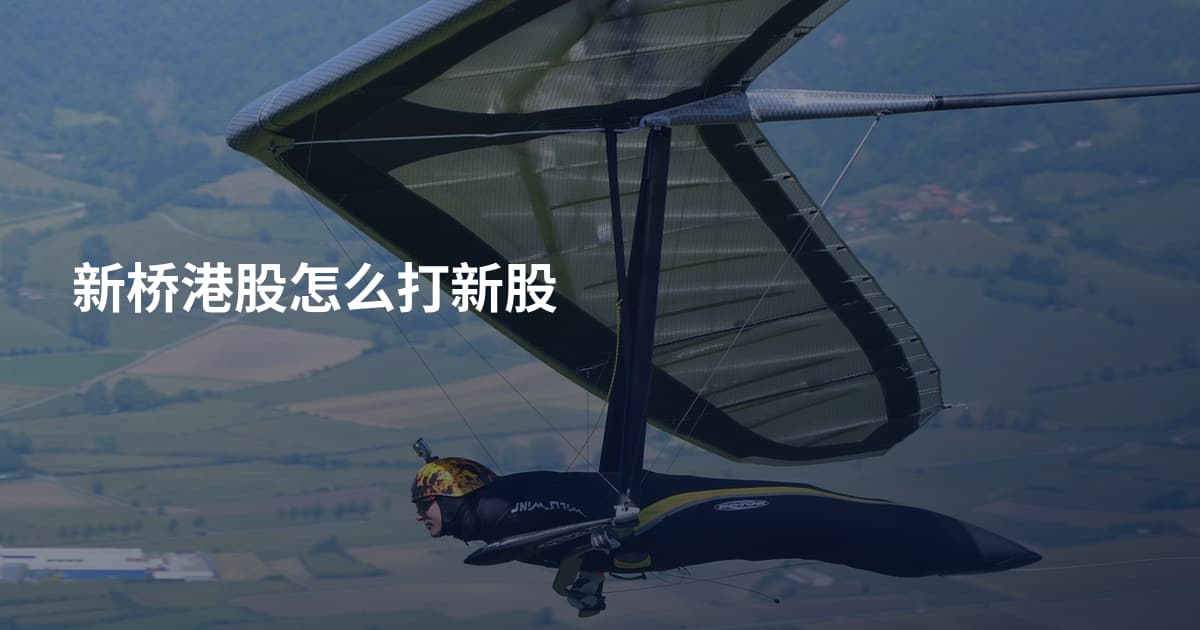 新桥港股怎么打新股