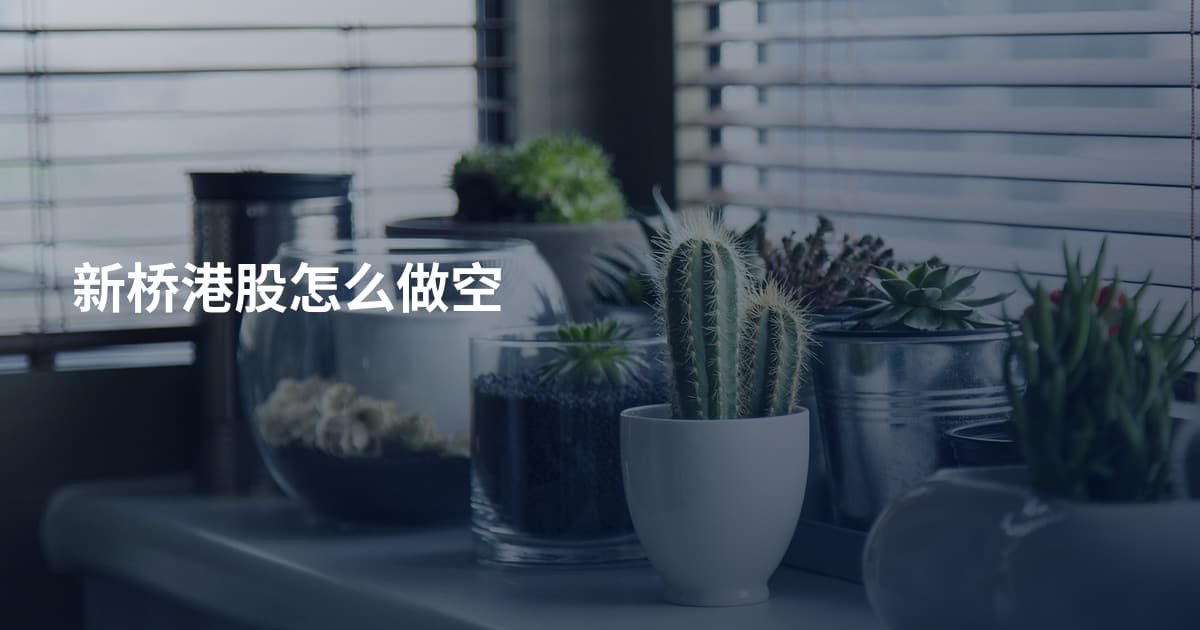 新桥港股怎么做空