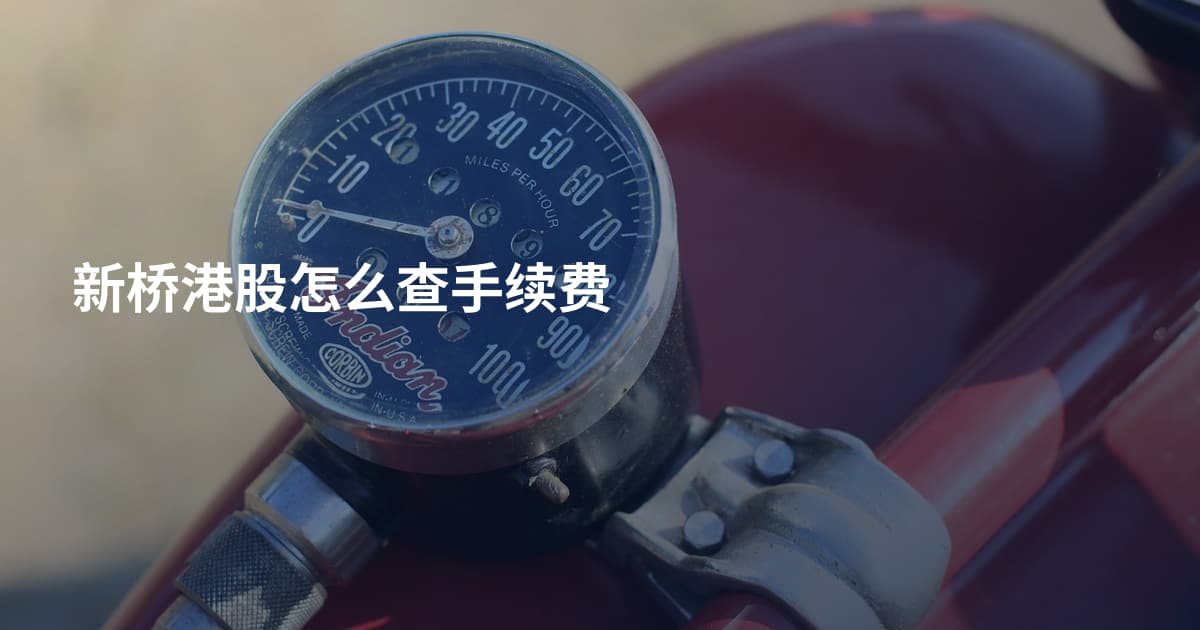 新桥港股怎么查手续费