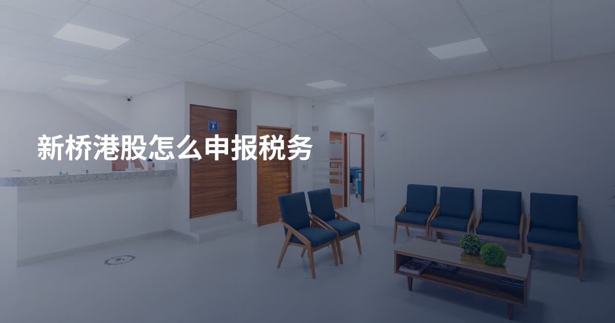 新桥港股怎么申报税务