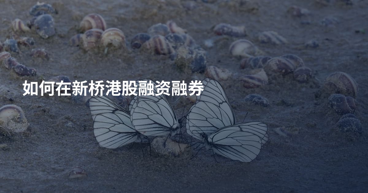 如何在新桥港股融资融券