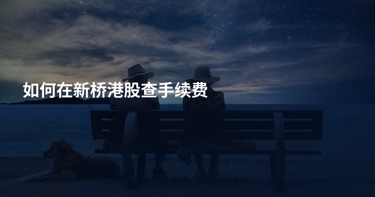 如何在新桥港股查手续费