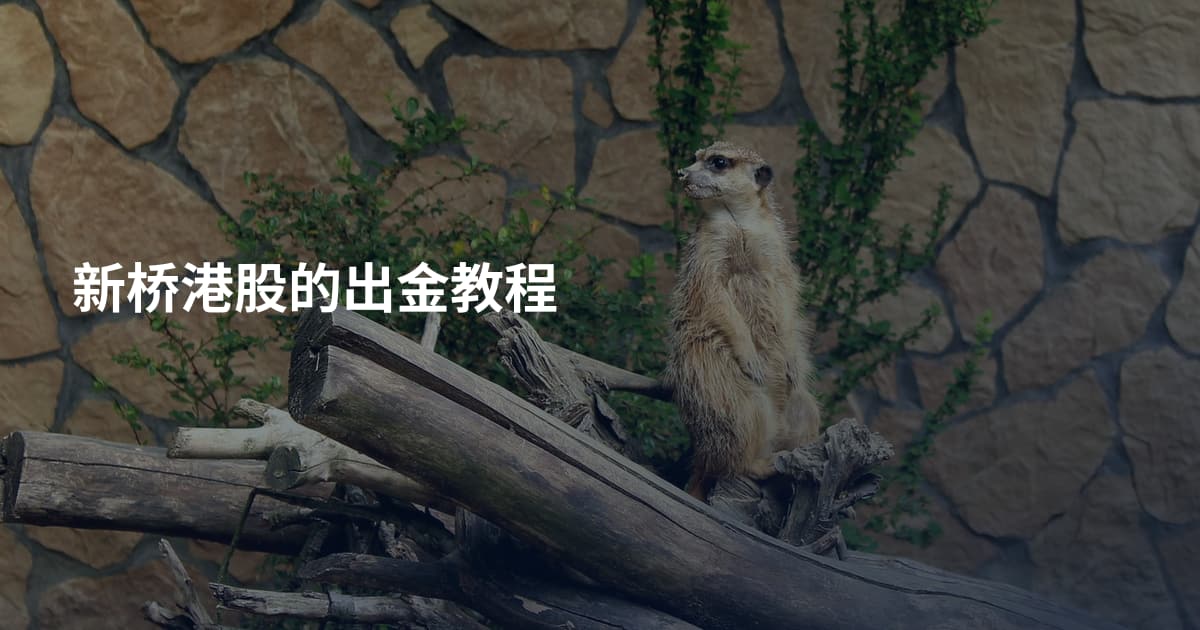 新桥港股的出金教程