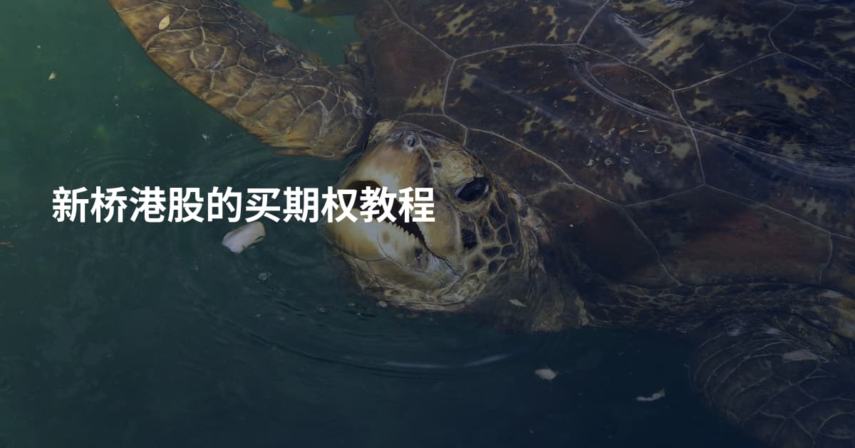 新桥港股的买期权教程