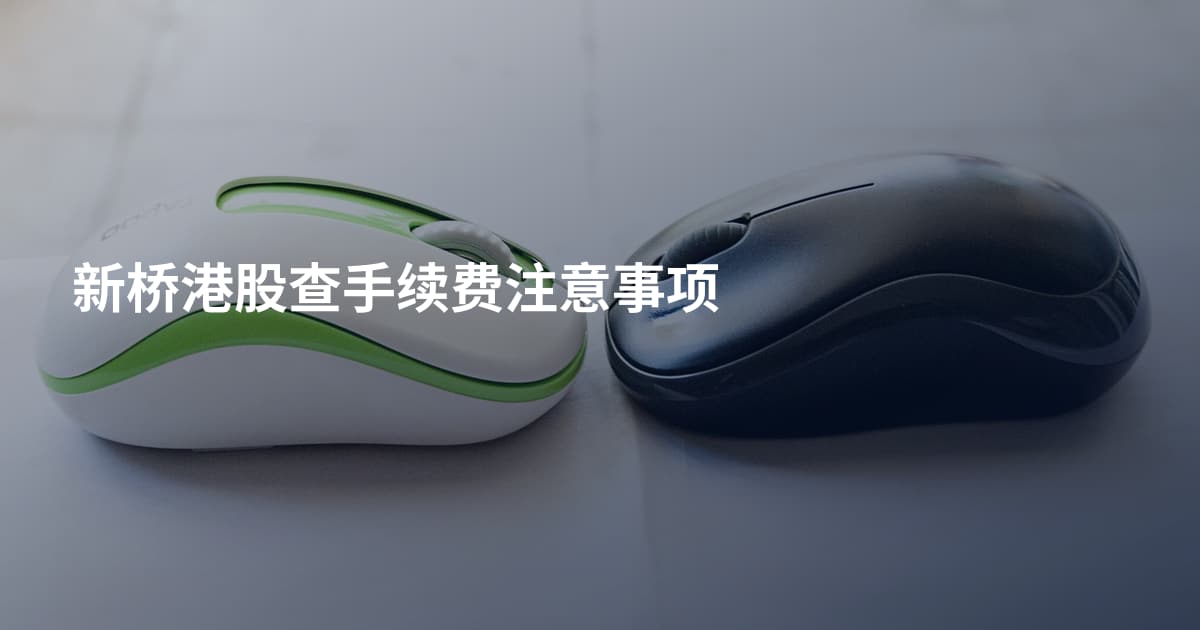 新桥港股查手续费注意事项