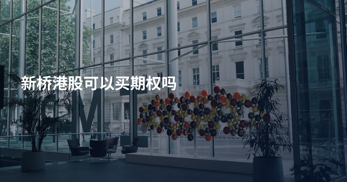 新桥港股可以买期权吗