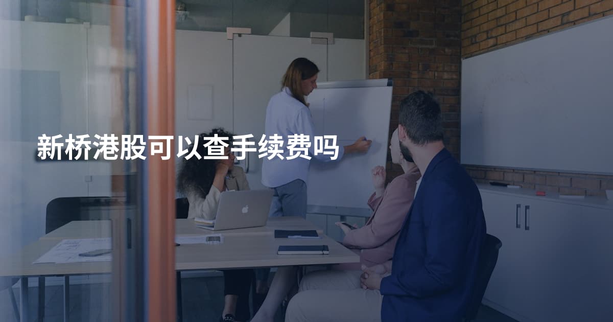 新桥港股可以查手续费吗