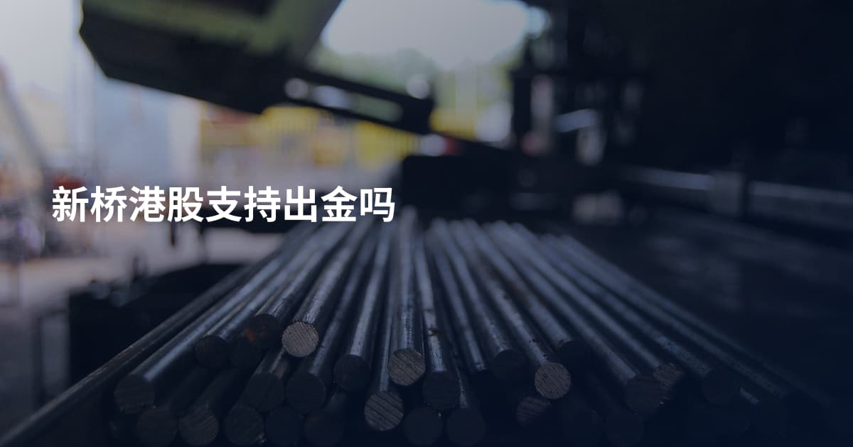 新桥港股支持出金吗