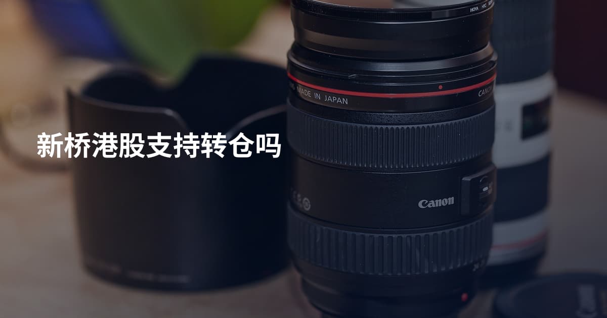 新桥港股支持转仓吗