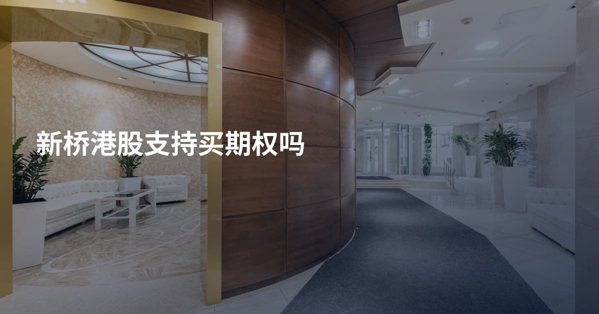 新桥港股支持买期权吗