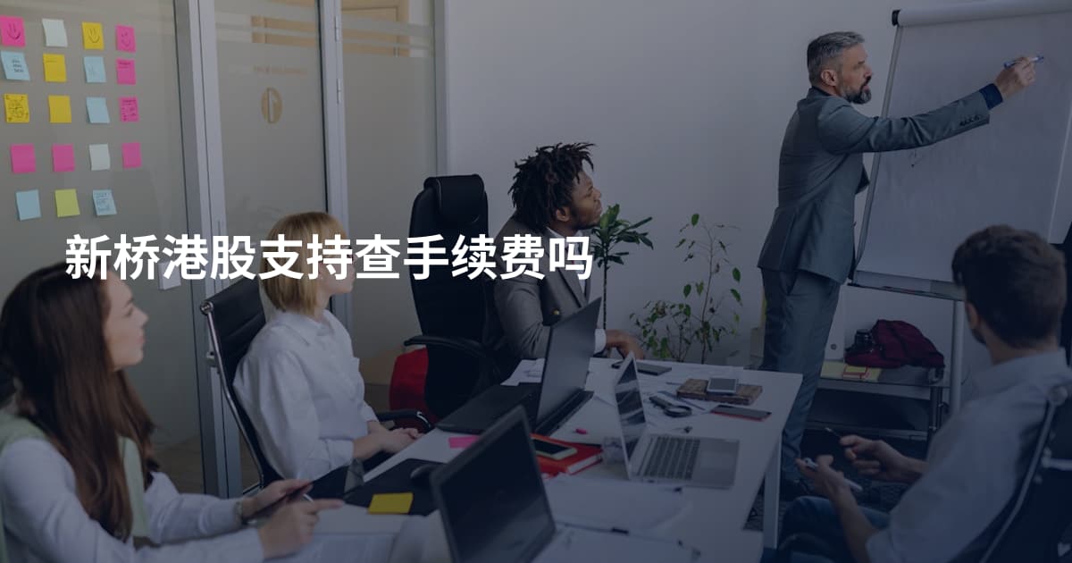 新桥港股支持查手续费吗