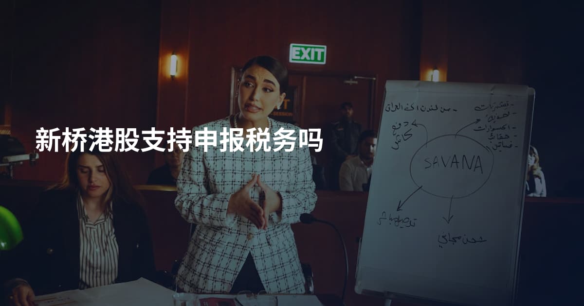新桥港股支持申报税务吗