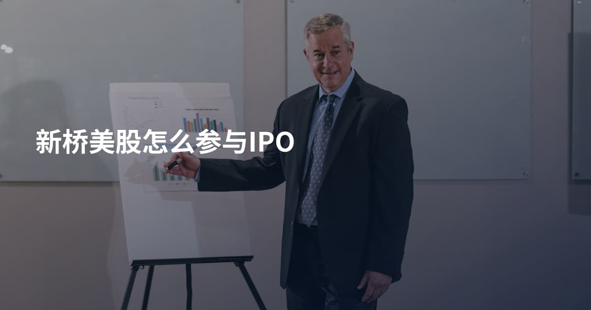 新桥美股怎么参与IPO