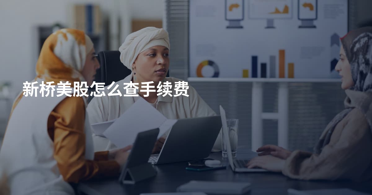 新桥美股怎么查手续费