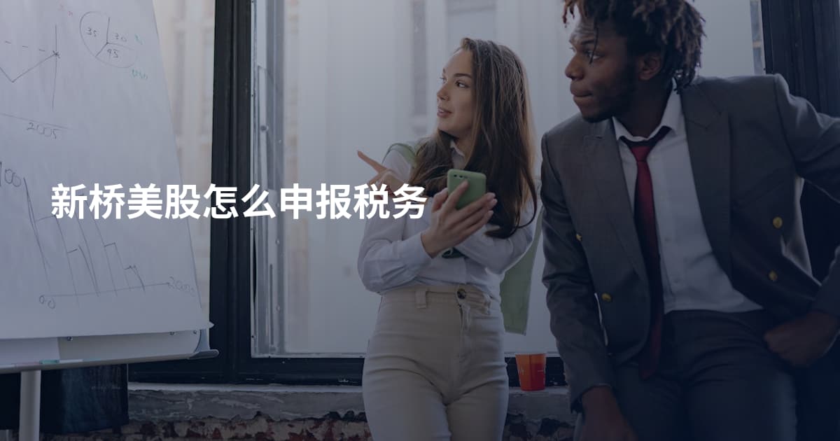 新桥美股怎么申报税务