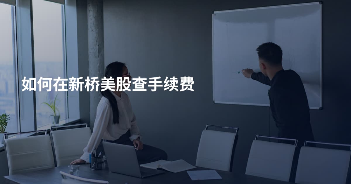 如何在新桥美股查手续费