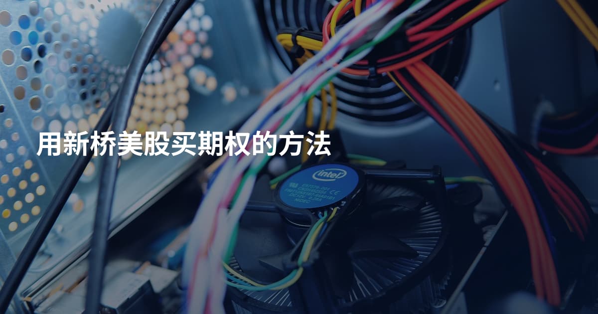 用新桥美股买期权的方法