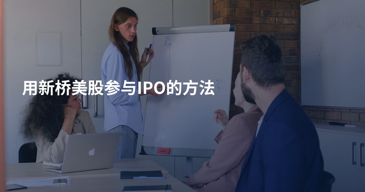 用新桥美股参与IPO的方法