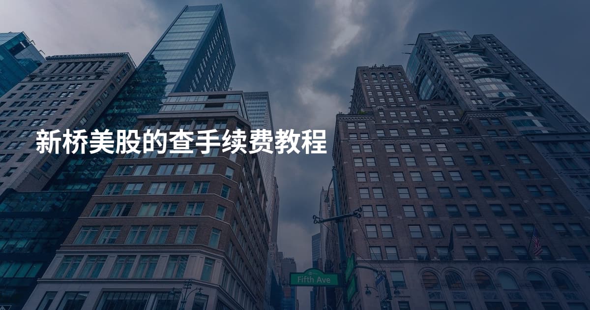 新桥美股的查手续费教程
