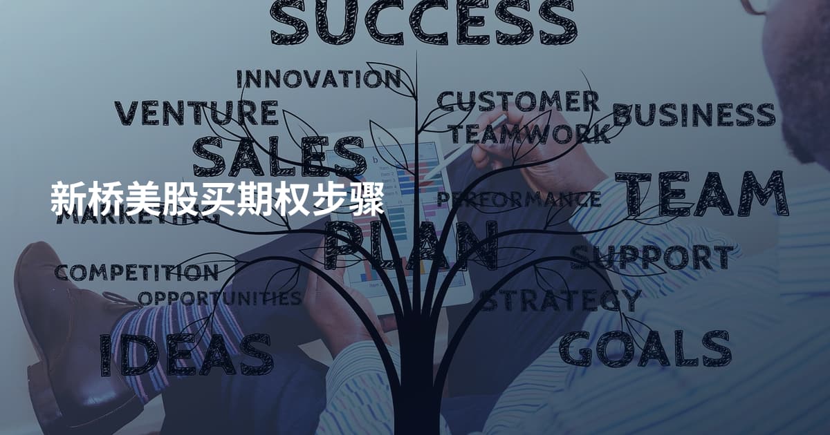 新桥美股买期权步骤