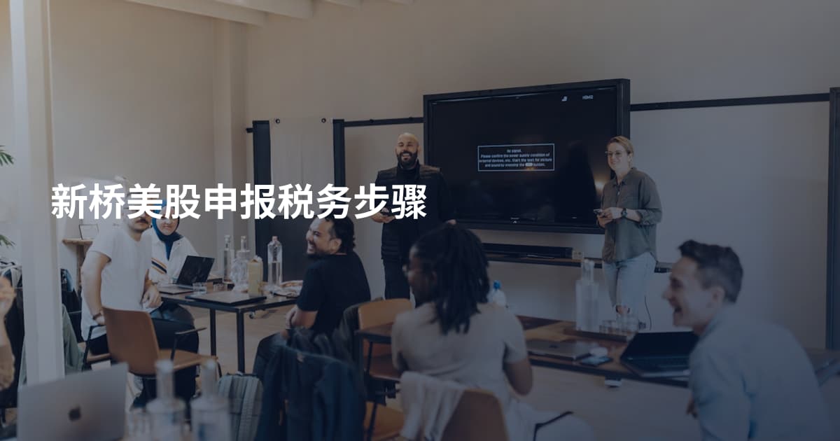 新桥美股申报税务步骤