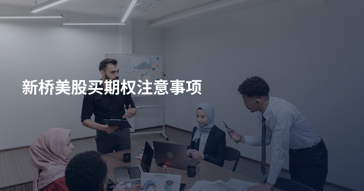 新桥美股买期权注意事项