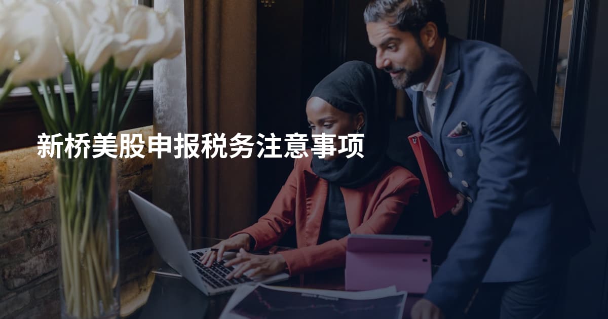 新桥美股申报税务注意事项