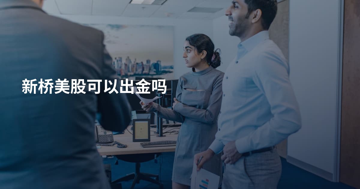 新桥美股可以出金吗