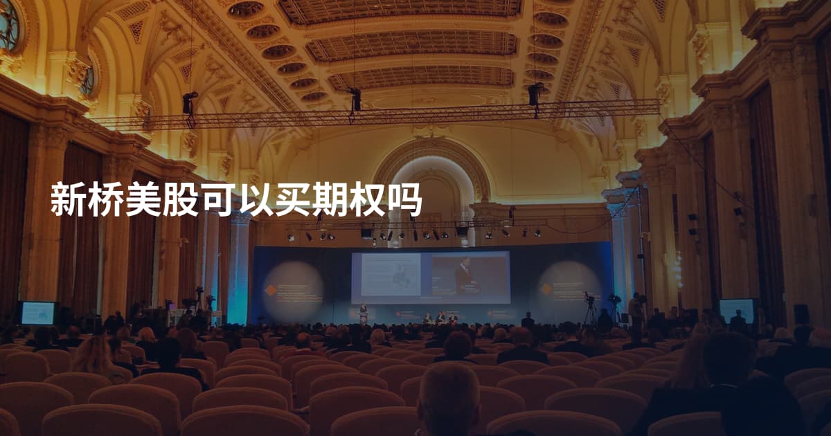 新桥美股可以买期权吗