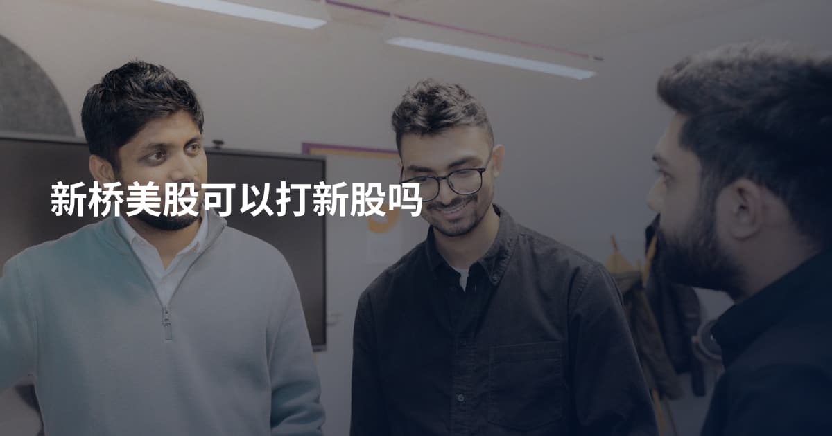 新桥美股可以打新股吗