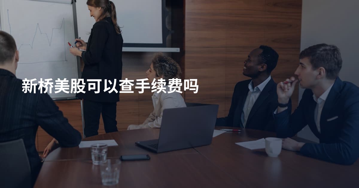 新桥美股可以查手续费吗