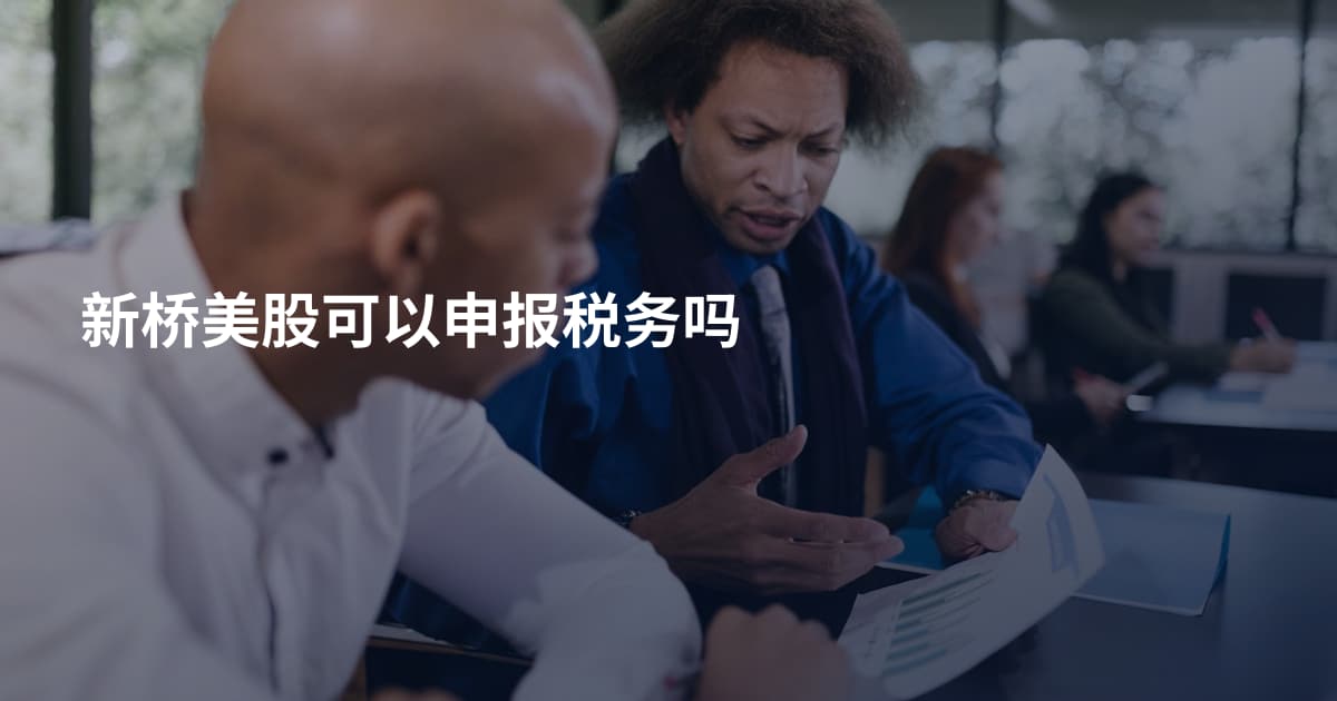 新桥美股可以申报税务吗