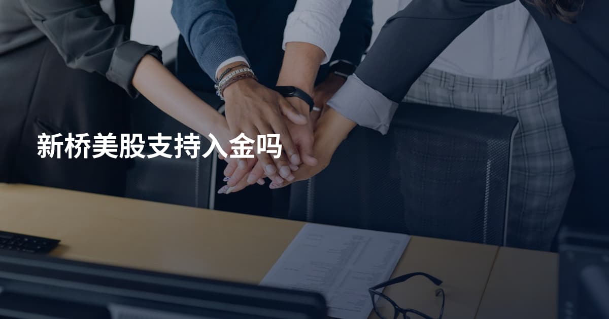 新桥美股支持入金吗