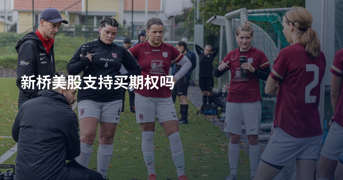 新桥美股支持买期权吗