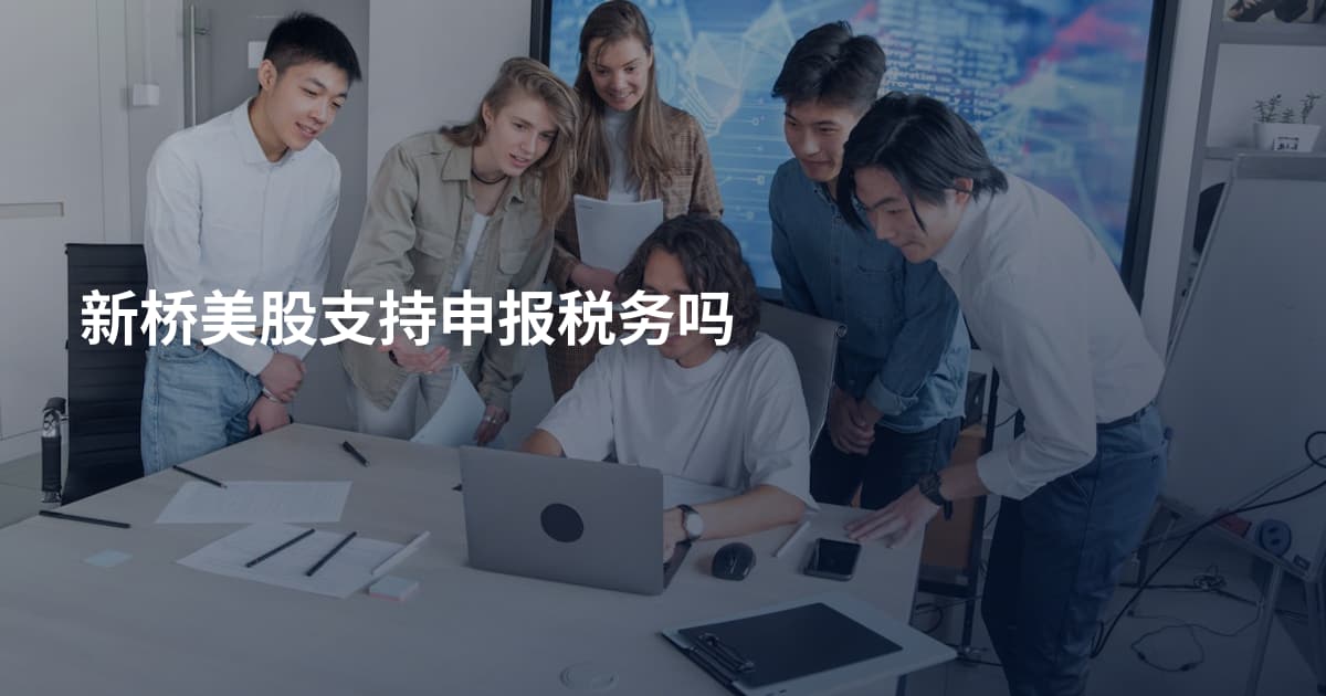 新桥美股支持申报税务吗