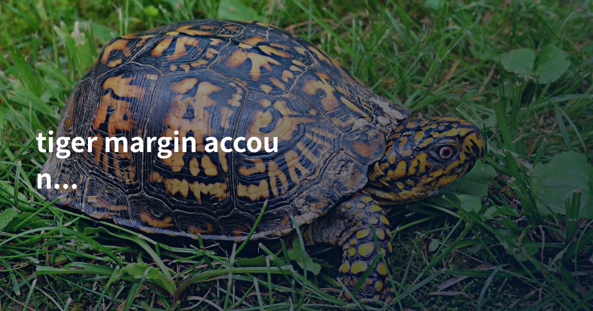 tiger margin account