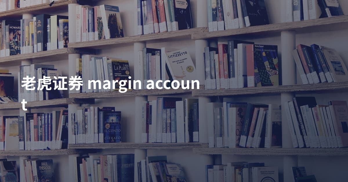 老虎证券 margin account